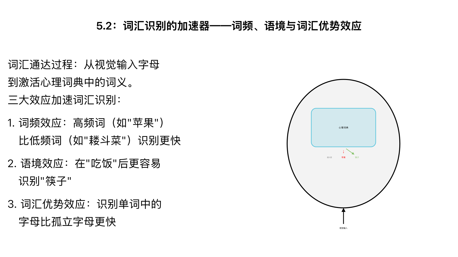 5.2：词汇识别的 “加速器”—— 词频、语境与词汇优势效应 核心内容：解析词汇通达过程（从 “视觉输入字母” 到 “激活心理词典中的词义”），用实验数据说明 “词频效应”（高频词 “苹果” 比低频词 “耧斗菜” 识别更快）、“语境效应”（“在‘吃饭’后更容易识别‘筷子’”），重点讲解 “词汇优势效应”（识别单词中的字母 “E” 比孤立字母 “E” 更快，因单词整体激活促进局部加工）。 测试：通过 “词汇判断任务”（判断 “苹果”“桌布” 是真词，“苹果”“桌步” 是假词），让学生感受词频与字形对识别速度的影响。