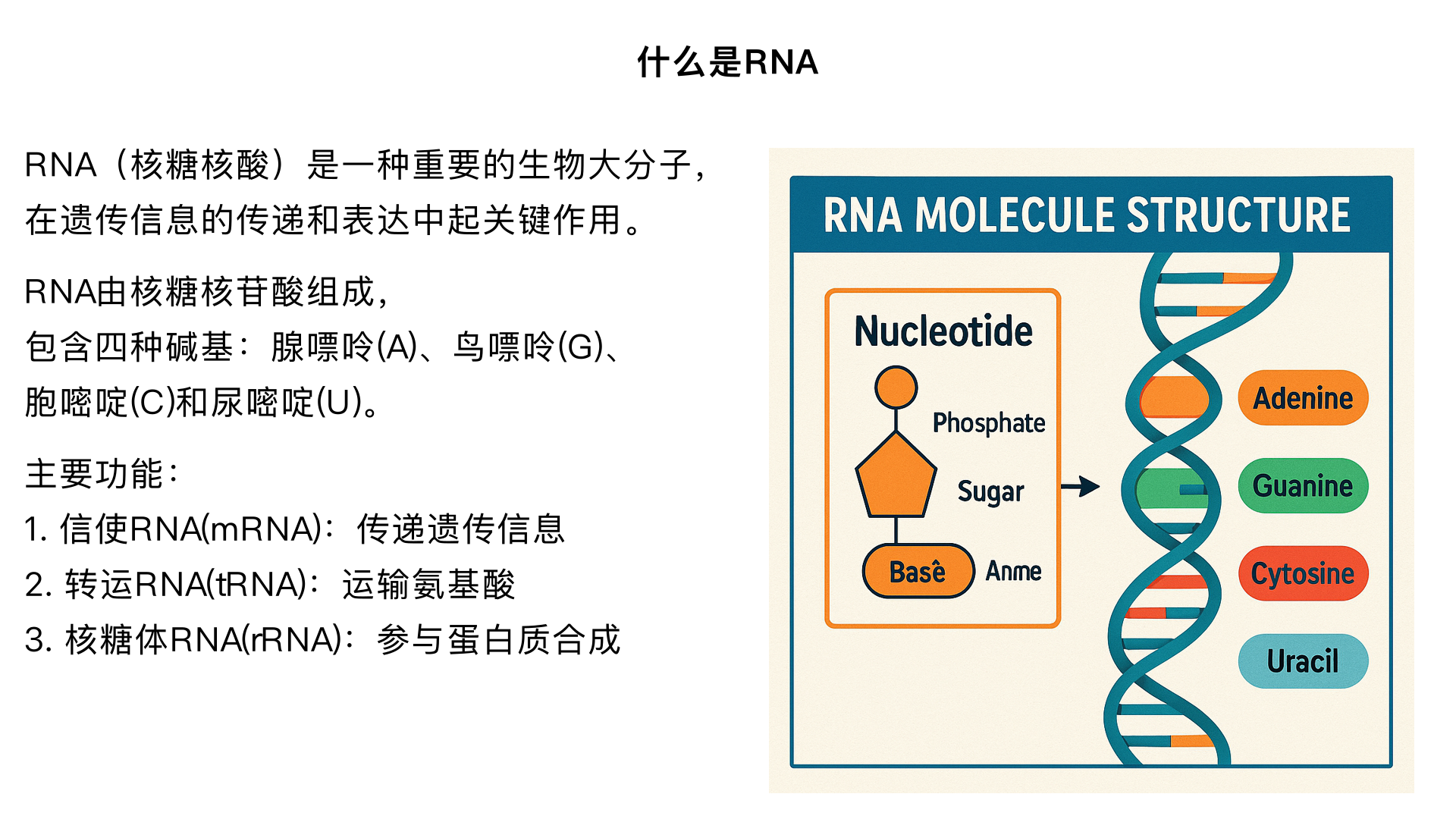 什么是RNA