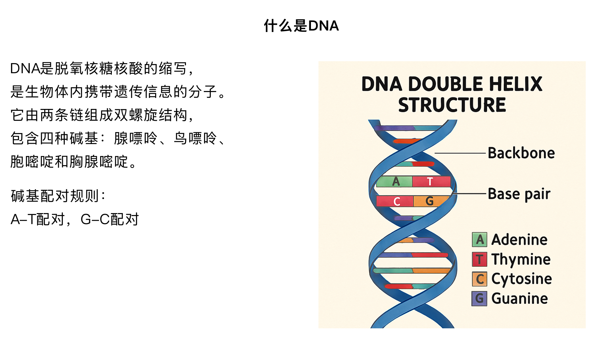 什么是DNA