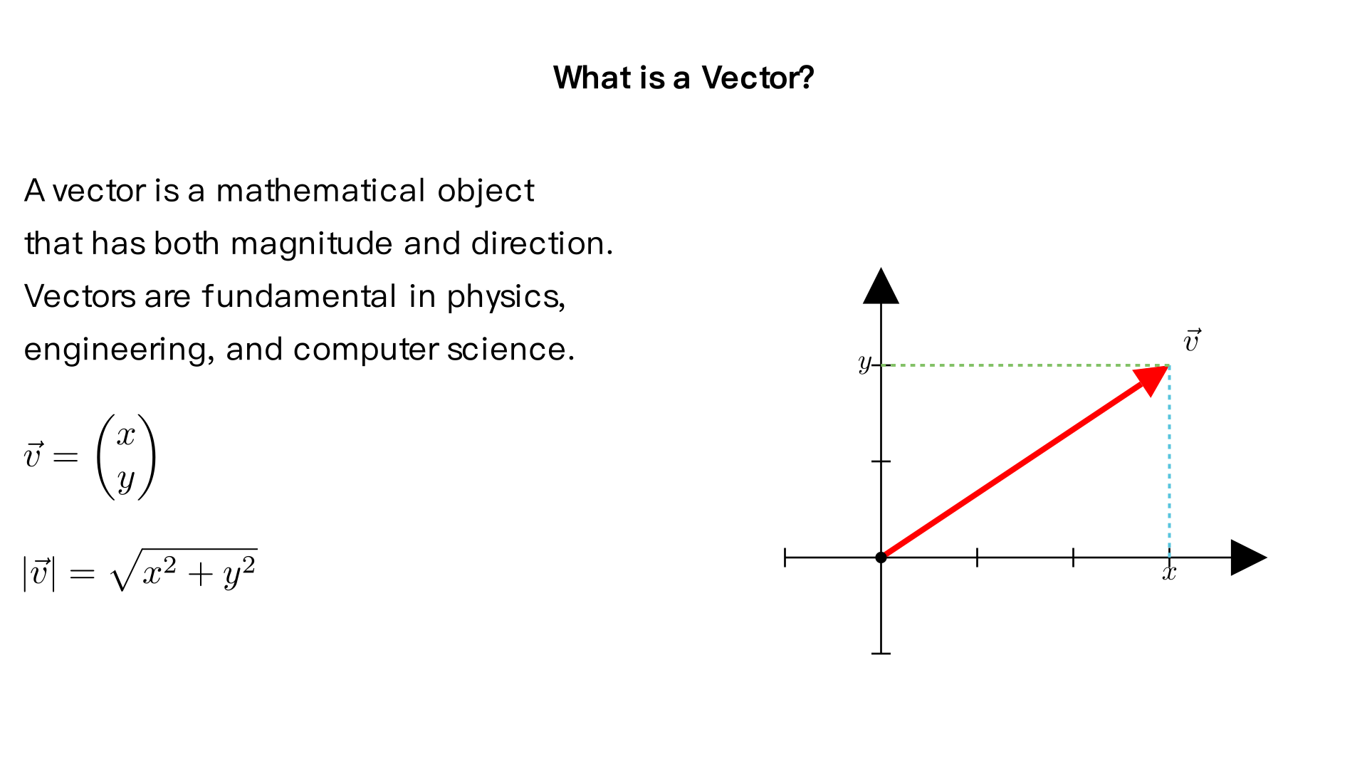 what is a vector