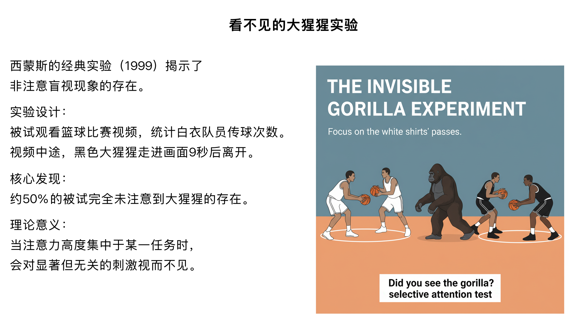 2. 西蒙斯（Simons）的 “看不见的大猩猩实验”（1999）
实验设计：
让被试观看一段篮球比赛视频，要求统计穿白色球衣队员的传球次数；视频中途，一名穿黑色大猩猩服装的人走进画面，捶胸后离开（持续 9 秒）。
核心发现：
约 50% 的被试完全未注意到 “大猩猩” 的存在。
理论意义：
揭示 “非注意盲视”（Inattentional Blindness）—— 当注意力高度集中于某一任务时，会对显著但与任务无关的刺激 “视而不见”，证明注意的选择性极强。