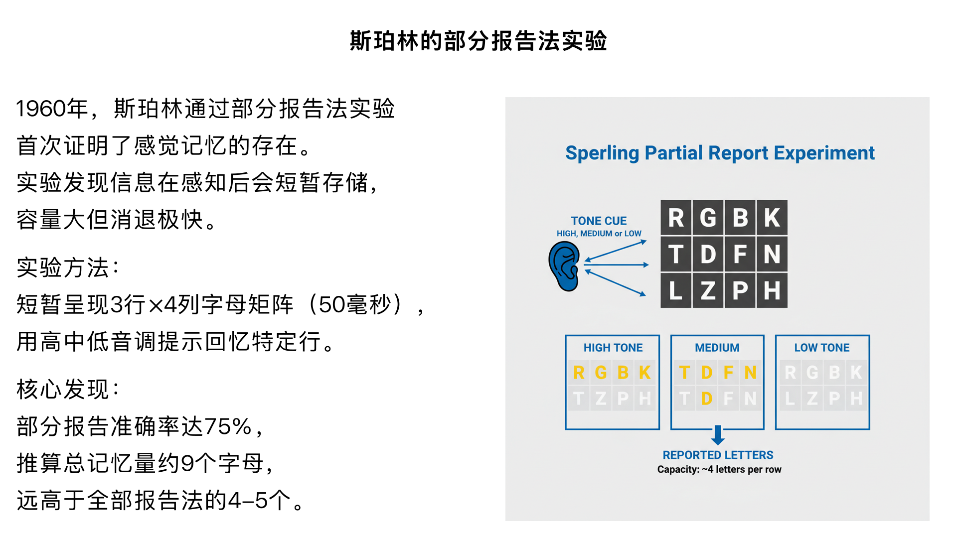 实验4. 斯珀林（Sperling）的 “部分报告法实验”（1960）
实验背景：
传统 “全部报告法”（让被试回忆短暂呈现的所有字母）显示，被试仅能记住 4-5 个字母，研究者怀疑这是 “提取限制” 而非 “存储限制”。
实验设计：
给被试短暂（50 毫秒）呈现 3 行 ×4 列的字母矩阵，呈现后立即播放高、中、低三种音调，分别提示被试回忆第一、二、三行字母（“部分报告”）。
核心发现：
被试对提示行的回忆准确率达 75%，推算总记忆量约 9 个字母，远高于 “全部报告法” 的结果。
理论意义：
首次证明存在感觉记忆（瞬时记忆） —— 信息在感知后会短暂（约 0.5-1 秒）存储于感觉记忆中，容量大但消退极快，若未被注意则迅速遗忘。