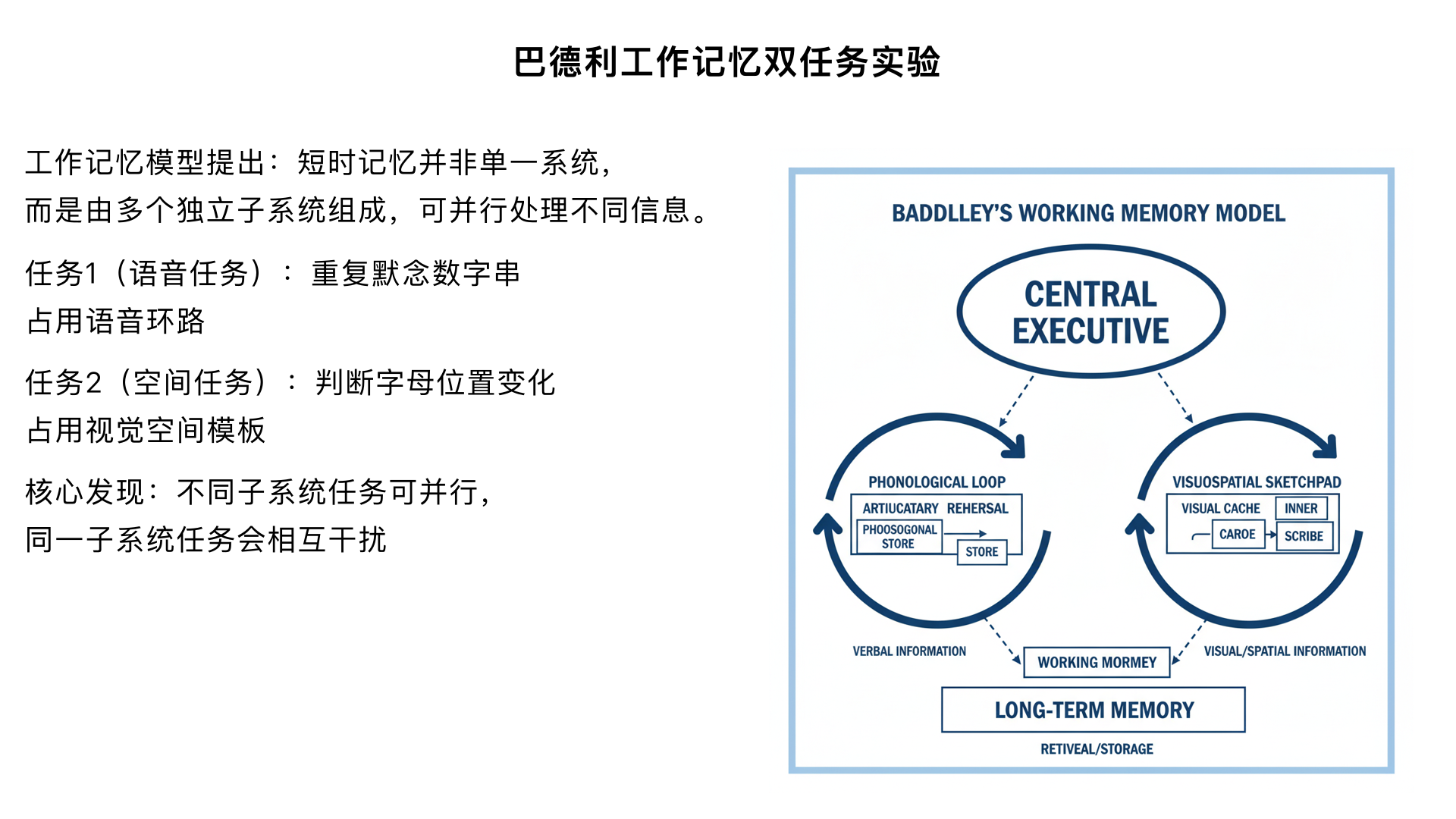 实验6. 巴德利（Baddeley）的 “工作记忆双任务实验”（1970s）
实验设计：
让被试同时完成两项任务：
任务 1（语音任务）：重复默念一串数字（占用 “语音环路”）；
任务 2（空间任务）：判断字母在屏幕上的位置是否变化（占用 “视觉空间模板”）。
对比被试单独完成一项任务与同时完成两项任务的成绩差异。
核心发现：
双任务成绩与单独任务成绩几乎无差异；但若两项任务均占用同一系统（如同时默念数字 + 背诵单词），成绩会显著下降。
理论意义：
提出 “工作记忆模型”—— 工作记忆（短时记忆的升级版）并非单一系统，而是由 “语音环路”（处理语言信息）、“视觉空间模板”（处理空间信息）、“中央执行系统”（协调资源）组成，各子系统独立运作，可并行处理不同类型信息。