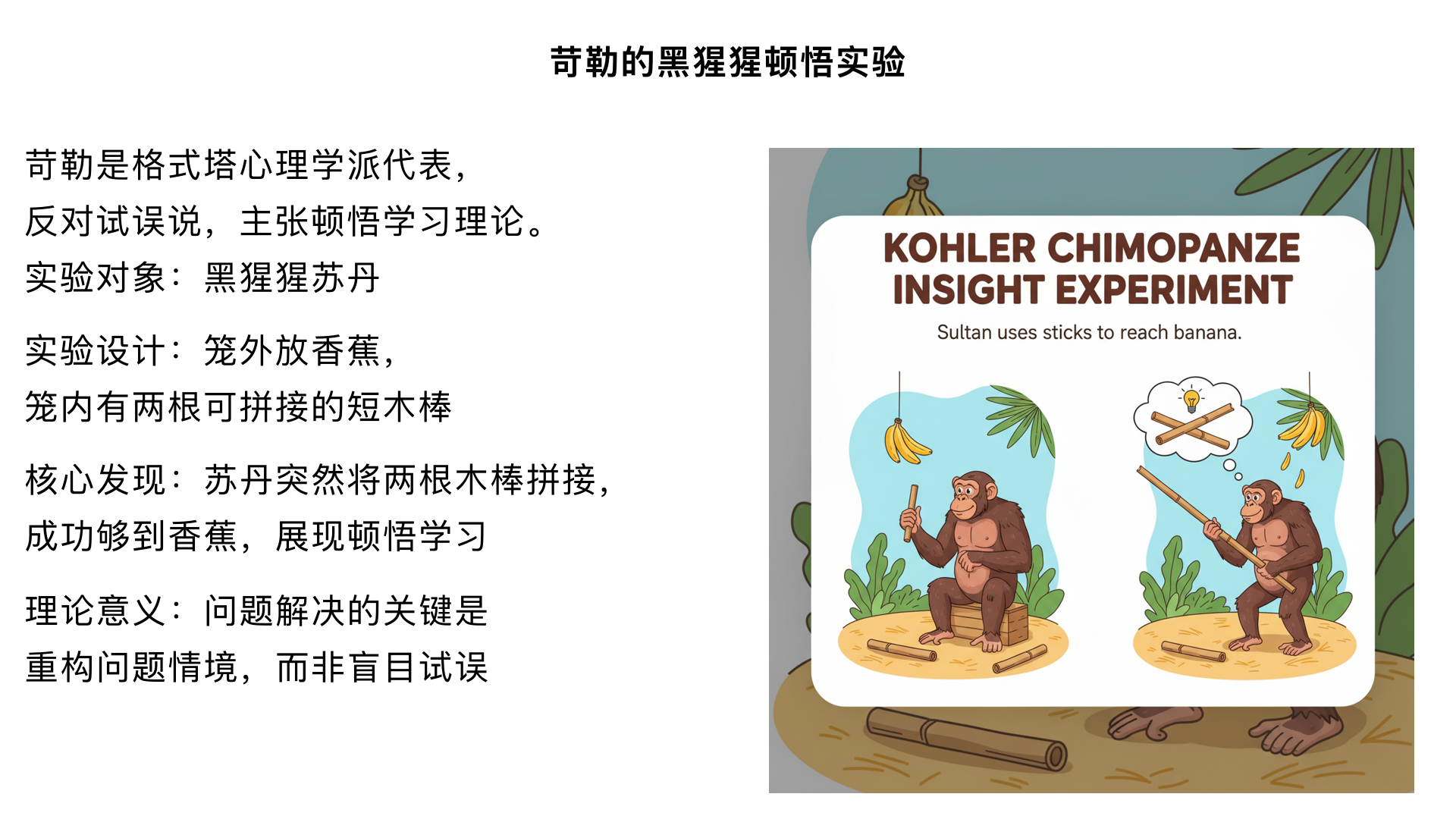实验8. 苛勒（Köhler）的 “黑猩猩顿悟实验”（1920s）
实验背景：
苛勒是格式塔心理学派代表，反对 “试误说”（认为学习是盲目尝试），主张 “顿悟”（突然理解问题本质）。
实验设计：
将黑猩猩 “苏丹” 关在笼子里，笼外远处放香蕉，笼内有两根可拼接的短木棒。观察苏丹如何获取香蕉。
核心发现：
苏丹最初尝试用单根木棒够香蕉（失败），随后陷入 “沉思”，突然将两根木棒拼接成一根长木棒，成功够到香蕉，且后续类似问题均能快速解决。
理论意义：
提出 “顿悟学习理论”—— 问题解决的关键是 “重构问题情境”（理解各元素的关系），而非盲目试误；这种 “顿悟” 是对整体结构的突然把握，适用于人类和高等动物。