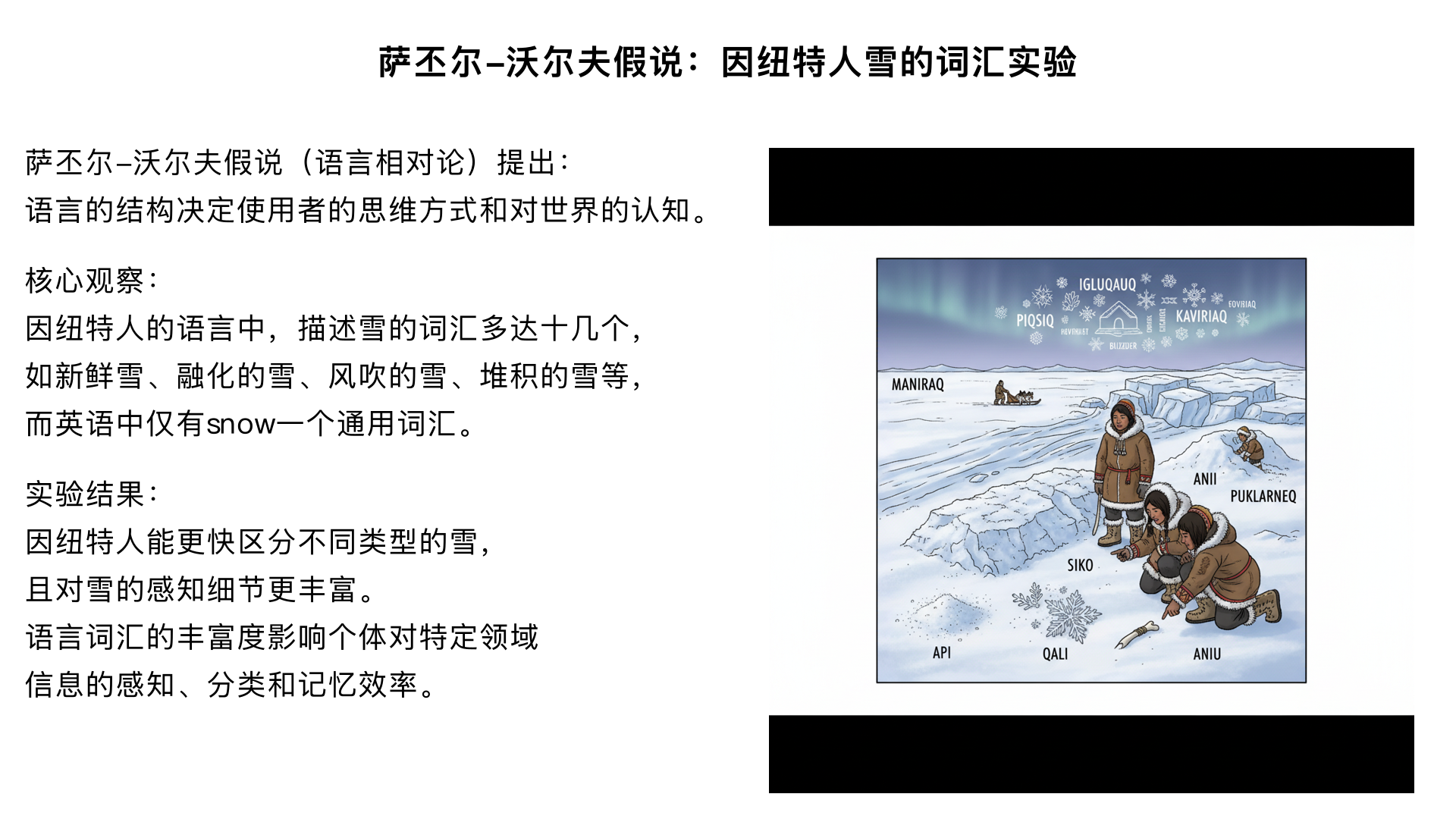认知心理学实验11.沃尔夫（Whorf）与萨丕尔（Sapir）的 “因纽特人雪的词汇实验”（1940s）
实验背景：
萨丕尔 - 沃尔夫假说（语言相对论）提出：“语言的结构决定使用者的思维方式和对世界的认知”。
核心观察：
因纽特人的语言中，描述 “雪” 的词汇多达十几个（如 “新鲜雪”“融化的雪”“风吹的雪”“堆积的雪” 等），而英语中仅有 “snow” 一个通用词汇。
后续实验验证：因纽特人能更快区分不同类型的雪，且对雪的感知细节更丰富。
理论意义：
尽管 “强版本”（语言完全决定思维）未被完全证实，但 “弱版本”（语言影响思维）得到广泛支持 —— 语言词汇的丰富度会影响个体对特定领域信息的感知、分类和记忆效率，体现了语言与认知的深度互动。