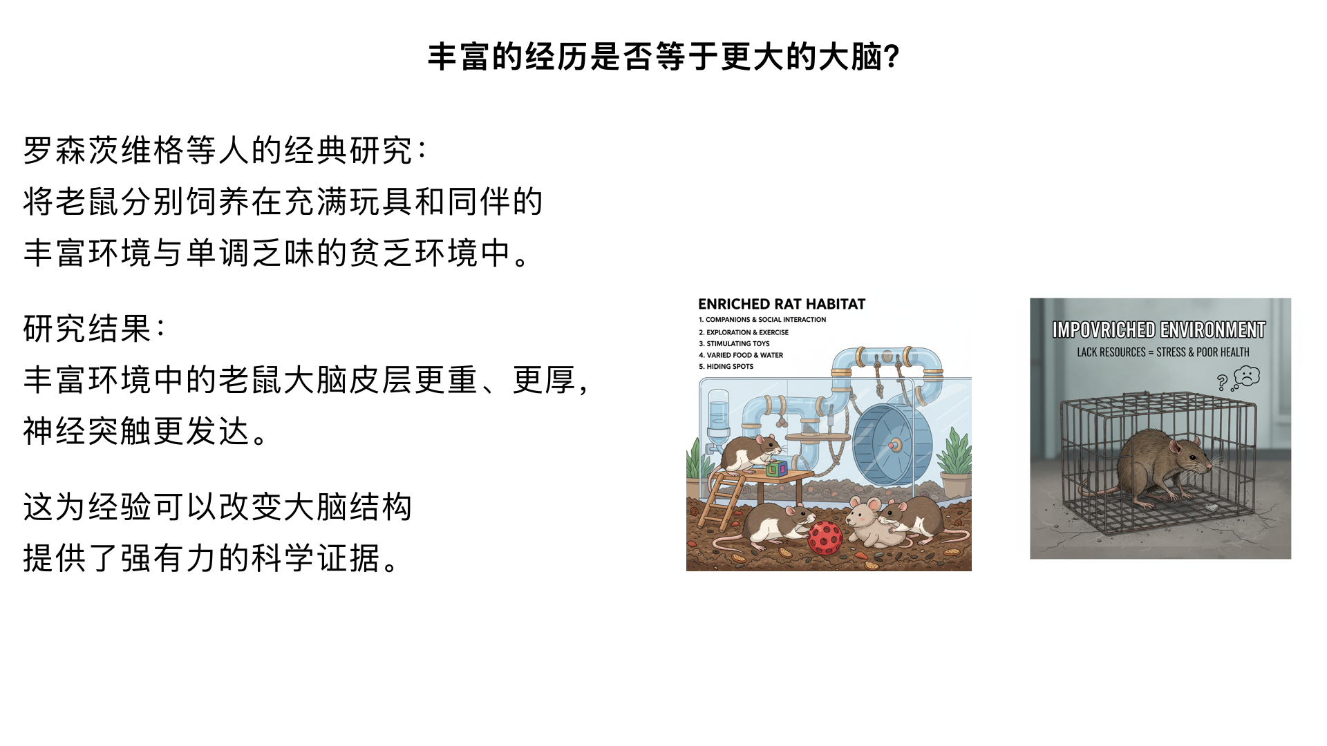 《改变心理学的40项研究》2、丰富的经历是否等于更大的大脑？ （罗森茨维格等的“丰富环境与大脑”研究）

主要内容：将老鼠分别饲养在充满玩具和同伴的“丰富环境”与单调乏味的“贫乏环境”中。结果发现，丰富环境中的老鼠大脑皮层更重、更厚，神经突触更发达。这为经验可以改变大脑结构提供了强有力的科学证据。