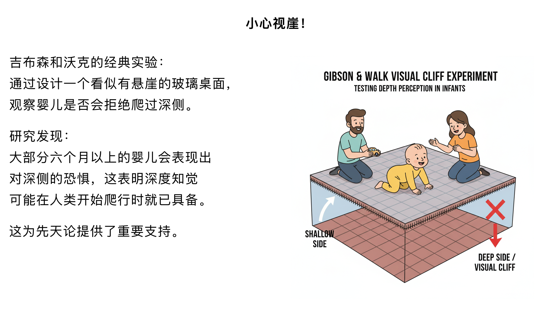 4、小心视崖！ （吉布森和沃克的“视崖”研究）

主要内容：通过设计一个看似有“悬崖”的玻璃桌面（“视崖”），观察婴儿是否会拒绝爬过“深侧”。研究发现，大部分六个月以上的婴儿会表现出对深侧的恐惧，这表明深度知觉可能在人类开始爬行时就已具备，这为先天论提供了支持。