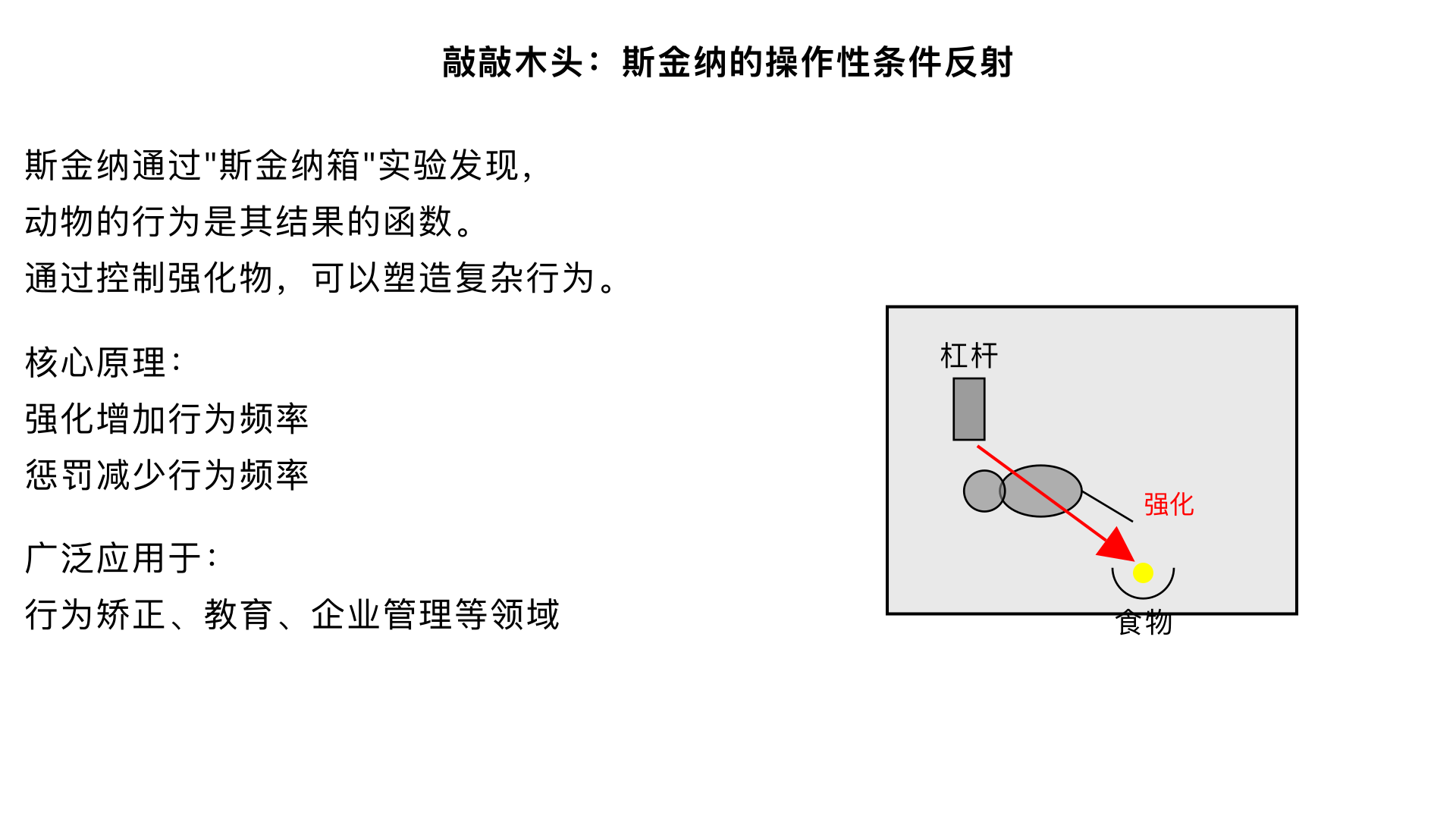 11、敲敲木头 （斯金纳的“操作性条件反射”研究）

主要内容：通过“斯金纳箱”发现，动物的行为是其结果（强化或惩罚）的函数。通过控制强化物，可以塑造出复杂的行为。这套操作性条件反射原理被广泛应用于行为矫正、教育和企业管理中。