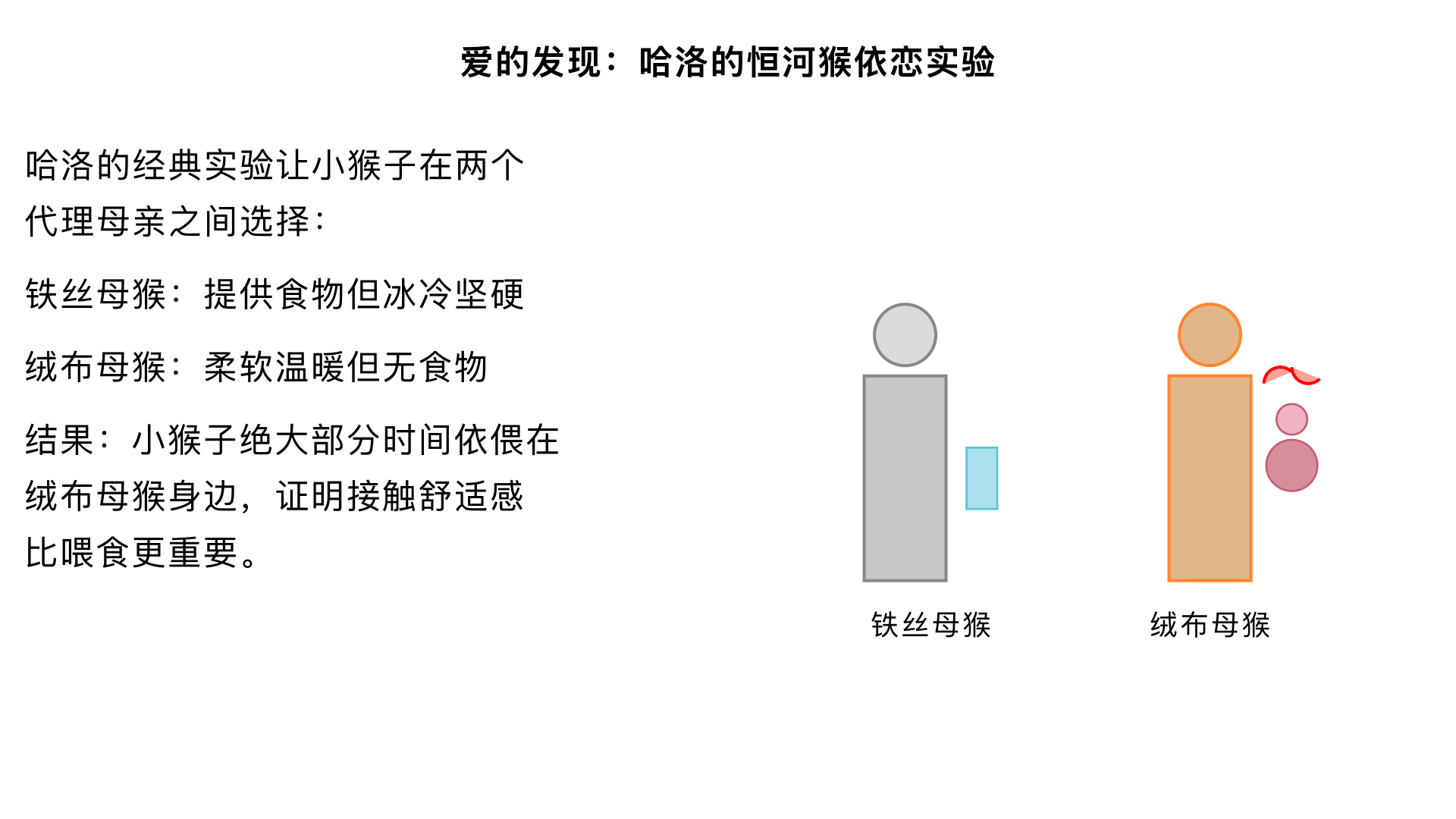 17、爱的发现 （哈洛的“恒河猴依恋”实验）

主要内容：让小猴子在“铁丝母猴”和“绒布母猴”之间选择，尽管只有铁丝母猴提供食物，小猴子仍绝大部分时间依偎在绒布母猴身边。这项研究颠覆了“有奶便是娘”的观点，证明了接触舒适感是形成依恋的关键，比喂食更重要。