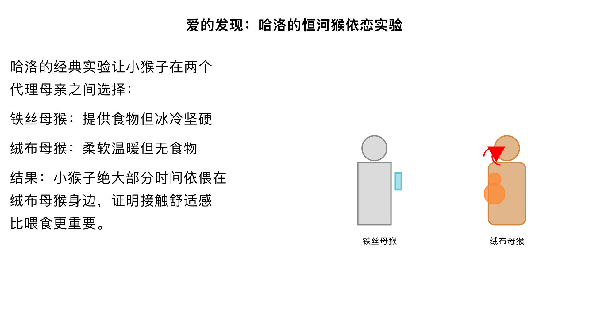 爱的发现 （哈洛的“恒河猴依恋”实验） 主要内容：让小猴子在“铁丝母猴”和“绒布母猴”之间选择，尽管只有铁丝母猴提供食物，小猴子仍绝大部分时间依偎在绒布母猴身边。这项研究颠覆了“有奶便是娘”的观点，证明了接触舒适感是形成依恋的关键，比喂食更重要。