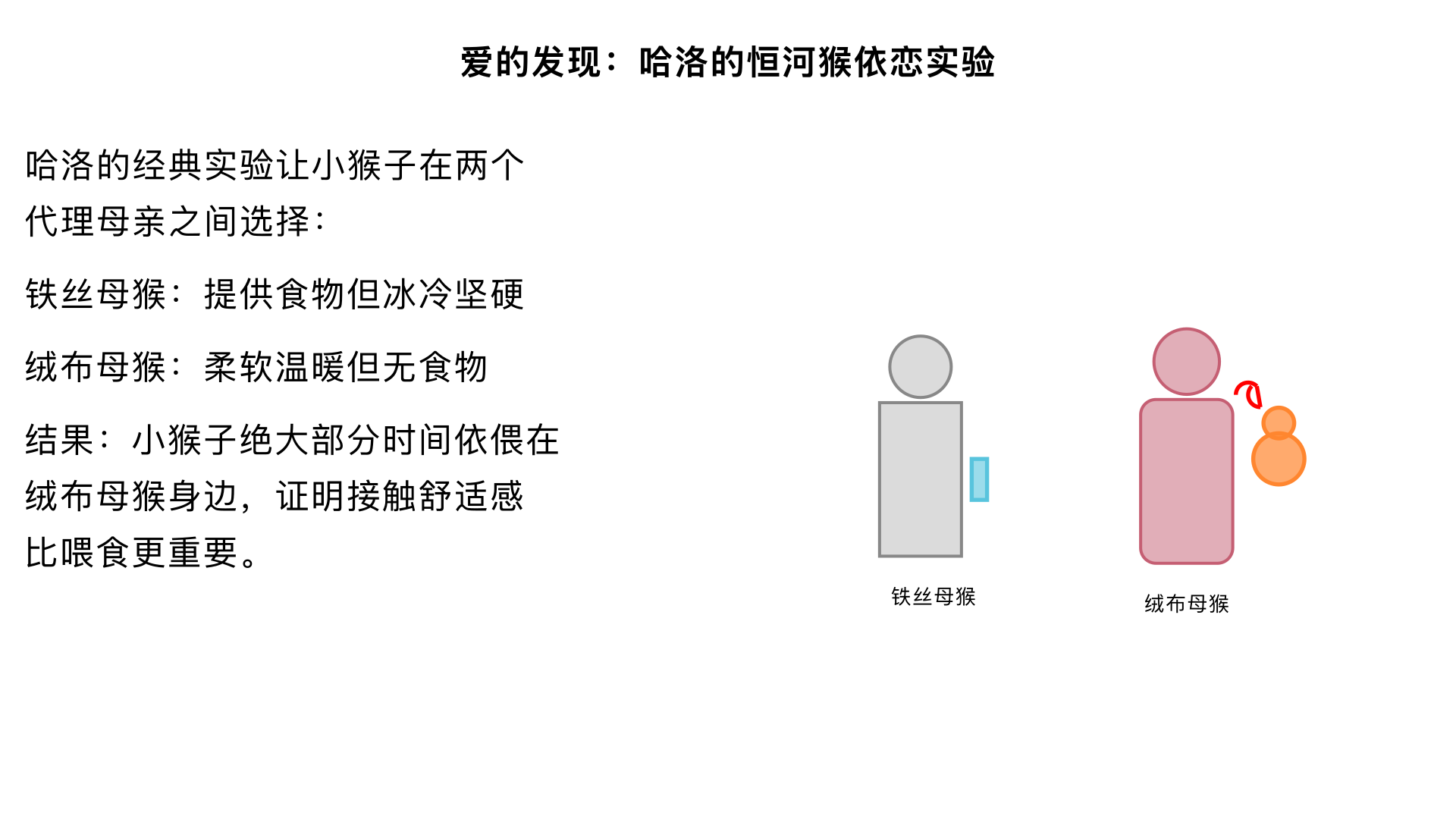 实验17、爱的发现 （哈洛的“恒河猴依恋”实验） 主要内容：让小猴子在“铁丝母猴”和“绒布母猴”之间选择，尽管只有铁丝母猴提供食物，小猴子仍绝大部分时间依偎在绒布母猴身边。这项研究颠覆了“有奶便是娘”的观点，证明了接触舒适感是形成依恋的关键，比喂食更重要。