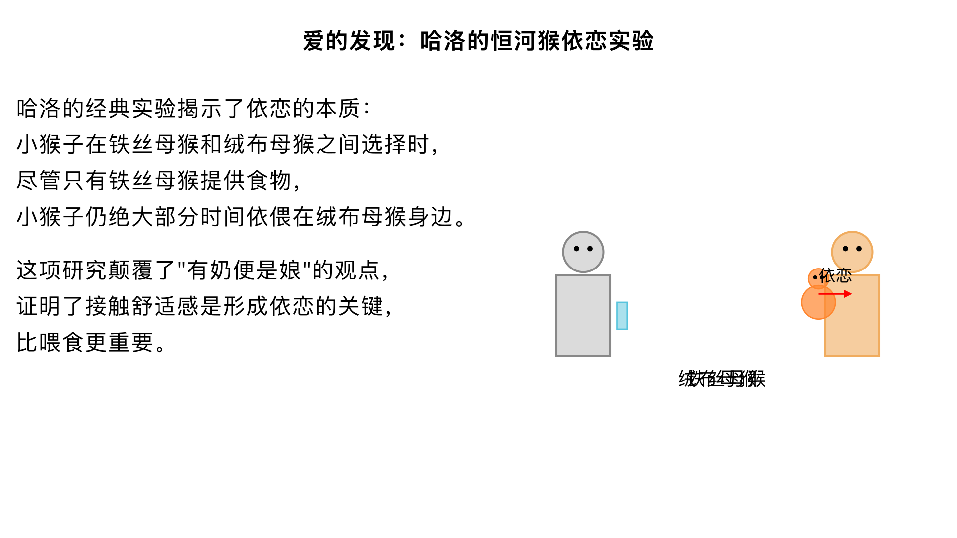 课程17、爱的发现 （哈洛的“恒河猴依恋”实验） 主要内容：让小猴子在“铁丝母猴”和“绒布母猴”之间选择，尽管只有铁丝母猴提供食物，小猴子仍绝大部分时间依偎在绒布母猴身边。这项研究颠覆了“有奶便是娘”的观点，证明了接触舒适感是形成依恋的关键，比喂食更重要。