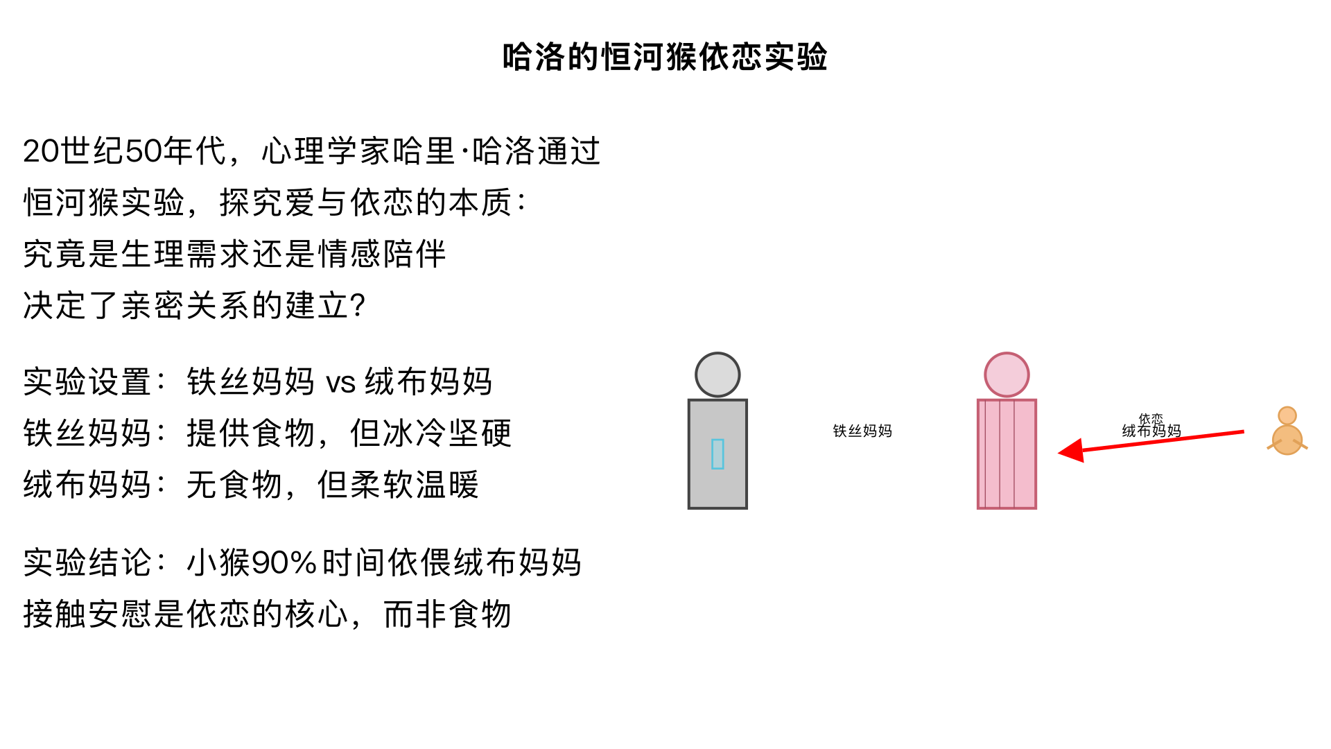 哈洛的 “恒河猴依恋” 实验（又称 “代母实验”）是 20 世纪 50 年代美国心理学家哈里・哈洛（Harry F. Harlow）在威斯康星大学开展的一系列经典心理学实验，核心是探究 “爱与依恋的本质”—— 究竟是生理需求（如喂食）还是情感陪伴（如触摸、温暖）决定了亲密关系的建立。这一实验彻底颠覆了当时主流的 “行为主义喂养理论”（认为依恋源于食物奖励），为现代发展心理学、亲子关系研究奠定了重要基础。
一、实验背景：对传统理论的质疑
当时心理学界普遍认为，婴儿对母亲的依恋是 “条件反射” 的结果 —— 母亲提供食物（生理满足），婴儿通过吸吮获得奖励，进而对母亲产生依赖。但哈洛观察到，现实中婴儿与母亲的互动远超 “喂养”，更多是拥抱、触摸等肢体接触，因此他提出假设：情感联结（接触安慰）才是依恋形成的核心，而非食物。为验证这一猜想，他以恒河猴为实验对象（恒河猴的社会行为、情感需求与人类高度相似），设计了一系列对照实验。
二、核心实验设计与过程
1. 实验一：“铁丝妈妈” vs “绒布妈妈”（基础依恋实验）
实验设置：将刚出生的恒河猴与母猴隔离，放入一个有两个 “代母” 的笼子：
「铁丝妈妈」：由铁丝编织而成，外形模仿母猴，胸前安装了一个奶瓶（可提供牛奶，满足生理喂养需求）；
「绒布妈妈」：同样由铁丝搭建骨架，但外层包裹了柔软的绒布，触感接近真实母猴的毛发，无奶瓶（无法提供食物）。
实验观察：记录小猴在饥饿时的选择、日常停留时间、受到惊吓时的反应等。
实验结果：
小猴仅在饥饿时会短暂跑到 “铁丝妈妈” 身边喝奶，其余 90% 以上的时间都依偎在 “绒布妈妈” 怀里；
当实验人员放入陌生物体（如玩具熊、敲击的铃铛）惊吓小猴时，小猴会立刻冲向 “绒布妈妈”，紧紧抱住它寻求安慰，而 “铁丝妈妈” 无法给予任何情感安全感；
即使将 “绒布妈妈” 移走，小猴也不会主动靠近 “铁丝妈妈”，反而会蜷缩在角落，表现出焦虑、恐惧、呆滞等情绪。
2. 实验二：“移动的绒布妈妈”（依恋与探索行为）
实验升级：在笼子中加入可探索的环境（如积木、滑梯、陌生玩具），并设置两组对照：
实验组：笼子中保留 “绒布妈妈”（固定或可移动）；
对照组：笼子中无任何 “代母”。
实验结果：
实验组的小猴：会先靠近 “绒布妈妈” 获得安全感，之后大胆地离开 “妈妈”，去探索周围的新环境，遇到危险时会随时返回 “妈妈” 身边 “充电”，探索行为积极且自信；
对照组的小猴：始终处于焦虑状态，不敢探索新环境，要么蜷缩不动，要么盲目乱跑，甚至出现自我伤害（如咬自己的肢体）的行为。
补充设计：当 “绒布妈妈” 可以移动时，小猴的探索欲更强 —— 因为 “移动的妈妈” 能提供更动态的陪伴，进一步强化了情感联结。
3. 实验三：长期隔离与依恋缺失的影响（后续跟踪实验）
实验延伸：将部分小猴长期（6 个月 - 1 年）与 “代母” 隔离，或仅接触 “铁丝妈妈”，观察其成年后的社交行为、繁殖能力及育儿方式。
实验结果（悲剧性发现）：
社交能力缺失：成年后无法与其他猴子正常互动，不懂如何交配、玩耍，甚至会被同类排斥；
繁殖与育儿障碍：部分雌猴即使通过人工授精生下幼猴，也会表现出严重的育儿缺陷 —— 有的忽视幼猴，有的虐待幼猴（如殴打、咬死），完全无法形成正常的母性依恋；
心理创伤不可逆：即使后期将这些猴子放回正常猴群，它们的社交障碍和情感缺陷也难以修复，多数终身处于孤独、焦虑的状态。
三、实验结论：重新定义 “爱” 的本质
哈洛通过一系列实验，推翻了 “喂养决定依恋” 的传统理论，得出三个核心结论：
接触安慰是依恋的核心：柔软、温暖的肢体接触能给个体带来安全感，是形成亲密关系的基础，其重要性远超生理需求（食物）；
安全基地是探索世界的前提：个体只有在获得稳定的情感支持（如母亲的陪伴）后，才会拥有自信去探索未知环境，情感安全感是心理健康的关键；
早期依恋缺失会造成终身创伤：婴幼儿时期（或动物幼崽阶段）如果缺乏真实的情感联结，会导致社交障碍、情感冷漠、育儿能力缺失等问题，且这些伤害往往难以逆转。
四、实验的意义与争议
1. 深远意义
对心理学：颠覆了行为主义的 “奖励 - 惩罚” 理论，推动了 “依恋理论” 的诞生（后续心理学家如鲍尔比、安斯沃思在此基础上提出了人类婴儿的依恋类型）；
对教育与育儿：证明了 “拥抱、陪伴、倾听” 等情感互动的重要性，改变了传统 “只重视喂养、忽视情感” 的育儿观念，强调 “高质量陪伴” 的价值 —— 例如，父母不仅要满足孩子的物质需求，更要通过肢体接触、关注、回应，建立稳定的情感联结；
对社会政策：影响了孤儿院、托儿所等机构的照护模式，推动了 “替代照顾者” 制度（如要求保育员与儿童建立一对一的情感联结，而非单纯的集体喂养）。
2. 伦理争议
实验中对恒河猴幼崽的长期隔离、情感剥夺，导致其出现严重的心理创伤，违背了动物伦理；
部分批评者认为，实验将 “母爱” 简化为 “绒布触感”，忽视了真实亲子关系中 “互动性”（如母亲的眼神交流、语言回应）的重要性 —— 但哈洛的实验核心是 “剥离无关变量，验证单一因素（接触安慰）的作用”，后续研究也补充了互动性对依恋的影响。
五、总结
哈洛的恒河猴依恋实验以严谨的设计和震撼的结果，重新定义了 “爱” 的本质：爱不是 “给予食物” 的交换，而是 “给予安全感” 的情感联结。这一实验不仅改变了心理学界对依恋的认知，更深刻影响了人类的育儿理念、教育模式和社会福利政策，让人们意识到：无论是婴儿还是动物幼崽，情感需求的满足与生理需求同等重要，甚至更为关键 —— 没有情感联结的 “喂养”，只能维持生命，却无法滋养心灵。
