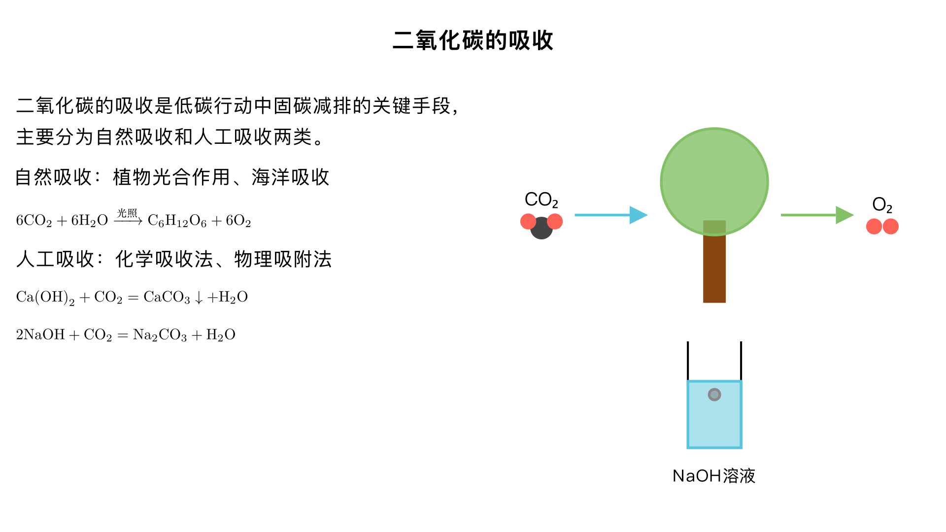 九年级化学 / 开展低碳行动 / 二氧化碳的吸收
核心结论
二氧化碳的吸收是低碳行动中 “固碳减排” 的关键手段，主要分为自然吸收（生物固碳） 和人工吸收（化学 / 物理固碳） 两类，核心原理是通过化学反应或物理作用将 CO₂转化为稳定物质或储存起来，减少大气中 CO₂浓度。
一、自然吸收（生物固碳）—— 地球的 “天然碳汇”
1. 植物的光合作用（最主要途径）
原理：绿色植物通过叶绿体，利用光能将 CO₂和水转化为有机物（如葡萄糖），释放氧气，实现 CO₂的 “固定”。
化学方程式：6CO₂ + 6H₂O 
叶
绿
体
光
照
 C₆H₁₂O₆（葡萄糖）+ 6O₂
关键细节：
吸收主体：森林、草原、农作物、藻类等（森林是 “地球之肺”，占全球生物固碳量的 60% 以上）。
应用场景：植树造林、退耕还林、保护湿地（湿地植物 + 微生物共同固碳）、海洋藻类养殖。
2. 海洋的吸收（第二大碳汇）
原理：
物理溶解：CO₂可溶于海水，形成碳酸（H₂CO₃）；
生物作用：海洋浮游植物的光合作用吸收 CO₂，海洋生物死亡后遗体沉积海底，将碳长期储存。
注意：过量 CO₂溶解会导致海水酸化（碳酸电离出 H⁺），影响海洋生物生存，因此海洋吸收存在 “环境上限”。
二、人工吸收（技术固碳）—— 低碳行动的 “主动手段”
1. 化学吸收法（实验室 + 工业常用）
（1）碱液吸收（最经典）
原理：CO₂是酸性氧化物，与碱溶液反应生成盐和水，实现 “化学固定”。
常见反应与应用：
吸收剂	化学方程式	应用场景
澄清石灰水（Ca (OH)₂）	Ca (OH)₂ + CO₂ = CaCO₃↓（白色沉淀）+ H₂O	实验室检验 CO₂（石灰水变浑浊）
氢氧化钠溶液（NaOH）	2NaOH + CO₂ = Na₂CO₃ + H₂O（CO₂少量）；Na₂CO₃ + CO₂ + H₂O = 2NaHCO₃（CO₂过量）	工业尾气处理（如电厂、钢厂 CO₂回收）、潜水艇换气系统
关键对比：NaOH 溶液吸收 CO₂的能力比澄清石灰水强（因为 Ca (OH)₂溶解度小，浓度低），所以工业上优先用 NaOH 溶液，实验室仅用石灰水检验。
（2）碳酸盐吸收（长效固碳）
原理：CO₂与碳酸盐反应生成碳酸氢盐，或直接转化为稳定的碳酸盐矿物（如碳酸钙、碳酸镁）。
示例：将 CO₂通入石灰乳（浓 Ca (OH)₂悬浊液），生成 CaCO₃沉淀，可用于生产建筑材料（如石灰石、水泥），实现 “碳封存 + 资源利用”。
2. 物理吸附法
原理：利用多孔材料（如活性炭、沸石、分子筛）的吸附性，将 CO₂气体吸附在材料表面，实现分离储存。
应用场景：天然气提纯（去除 CO₂杂质）、室内空气净化（小型 CO₂吸附装置）。
优点：操作简单、无化学副产物；缺点：吸附量有限，需要定期再生材料（加热或减压释放 CO₂后重新使用）。
3. 工业固碳技术（前沿应用）
碳捕捉与封存（CCS 技术）：
捕捉：从电厂、水泥厂等工业尾气中分离 CO₂（用化学吸收或物理吸附法）；
运输：通过管道或高压容器将液态 CO₂运输到储存地点；
封存：将 CO₂注入地下深层岩层（如枯竭油田、盐矿层），使其长期稳定储存，不进入大气。
碳转化技术：将 CO₂与氢气、甲烷等反应，转化为甲醇、乙醇、塑料等化工产品，实现 “变废为宝”（如 CO₂ + 3H₂ 
催
化
剂
 CH₃OH + H₂O）。
三、低碳行动中的实际应用（知识落地）
个人层面：爱护绿植、参与植树活动（助力自然固碳）；减少一次性用品使用（间接减少 CO₂排放，降低固碳压力）。
社会层面：
城市绿化：增加公园、道路绿化带面积，提升城市 “碳汇能力”；
工业减排：推广 NaOH 溶液处理工业尾气、发展 CCS 技术；
新能源替代：减少化石燃料使用（从源头减少 CO₂排放），配合固碳技术形成 “减排 + 固碳” 闭环。
四、易错点辨析
误区：“澄清石灰水可用于大量吸收 CO₂”—— 错误！澄清石灰水 Ca (OH)₂溶解度小，浓度低，仅能检验 CO₂，大量吸收需用 NaOH 溶液。
误区：“植物光合作用吸收 CO₂，所以种树越多越好”—— 不完全正确！植物死亡后若被分解（如腐烂、燃烧），会重新释放 CO₂；只有长期存活的森林（如原始森林）才能实现 “长期固碳”。
关键区分：“吸收 CO₂”vs“减少 CO₂排放”—— 吸收是 “清除已有的 CO₂”，减排是 “减少新增的 CO₂”，二者结合才是完整的低碳行动。