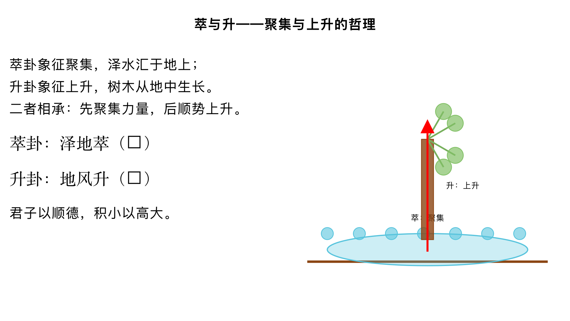 萃与升——聚集与上升的哲理
一、萃卦（泽地萃）：荟萃凝聚之道
1. 卦序与卦象

《序卦传》：“姤者遇也，物相遇而后聚，故受之以萃。萃者，聚也。” 相遇之后聚集。

卦象：上兑泽，下坤地（䷬），泽在地上，水聚于地，象征聚集。

卦德：兑悦坤顺，和顺而喜悦相聚。

2. 《彖传》精解

text
萃，聚也。顺以说，刚中而应，故聚也。
王假有庙，致孝享也。
利见大人，亨，聚以正也。
用大牲吉，利有攸往，顺天命也。
观其所聚，而天地万物之情可见矣。
“顺以说，刚中而应”：下坤顺，上兑悦；九五刚中，与六二相应，故能聚集。

“王假有庙”：王至宗庙，致孝享祭祀。

“聚以正”：聚集需依正道。

“顺天命”：顺从天意而聚集。

“观其所聚…情可见”：观察聚集现象，可知天地万物之情。

3. 《大象传》：“泽上于地，萃。君子以除戎器，戒不虞。”

泽水聚于地上，有溃决之险；君子因此修治兵器，防备不测。

4. 爻辞精析

初六：有孚不终，乃乱乃萃。若号，一握为笑，勿恤，往无咎。 诚信不能始终，则聚会混乱；若呼号求应，可握手言笑，前往无咎。

六二：引吉，无咎，孚乃利用禴。 受人牵引而聚则吉，诚信即使薄祭也有利。

六三：萃如嗟如，无攸利。往无咎，小吝。 相聚却叹息，无利；前往无咎，但有小憾。

九四：大吉，无咎。 大吉而后无咎（因聚集得当）。

九五：萃有位，无咎。匪孚，元永贞，悔亡。 居位而聚，无咎；若未取信于人，则需永久守正以悔亡。

上六：赍咨涕洟，无咎。 悲叹涕泣（因孤高无应），但知惧则无咎。

二、升卦（地风升）：顺势上升之道
1. 卦序与卦象

《序卦传》：“聚而上者谓之升，故受之以升。” 聚集后向上发展。

卦象：上坤地，下巽风（䷭），地中生木（巽为木），树木向上生长。

卦德：巽顺坤柔，以柔顺之道上升。

2. 《彖传》精解

text
柔以时升，巽而顺，刚中而应，是以大亨。
用见大人，勿恤，有庆也。
南征吉，志行也。
“柔以时升”：柔顺者依时上升。

“巽而顺，刚中而应”：下巽逊，上坤顺；九二刚中，与六五相应，故大亨通。

“南征吉”：向南行进吉（南为明方）。

3. 《大象传》：“地中生木，升。君子以顺德，积小以高大。”

地中生木，逐渐长高；君子效法，顺行其德，积小善以成高大。

4. 爻辞精析

初六：允升，大吉。 宜于上升，大吉。

九二：孚乃利用禴，无咎。 诚信即使薄祭也利，无咎。

九三：升虚邑。 上升如入无人之邑（畅通无阻）。

六四：王用亨于岐山，吉，无咎。 王在岐山祭祀，吉无咎（如文王祭岐山，象征获天命）。

六五：贞吉，升阶。 守正则吉，如升台阶（稳步上升）。

上六：冥升，利于不息之贞。 昏冥中仍上升，利于不停息地守正（但已至极点，宜守不宜进）。

三、萃升二卦的关联
聚而后升：萃卦是聚集人力物力，升卦是向上发展。

上升的条件：柔顺、诚信、守正、依时。

政治寓意：萃卦如招揽人才，升卦如任用贤能、事业上升。

金景芳强调：升卦强调“顺德，积小以高大”，反对急功近利，主张渐进积累。